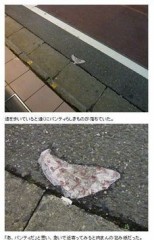 【お題日記】体だけの関係の相手、いますか？