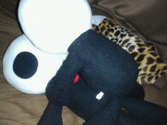 【お題日記】嫌いな体位、教えて！