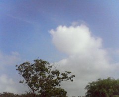 今朝の空続く・・・