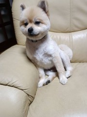 【お題日記】今の自分にキャッチコピーをつけるなら？