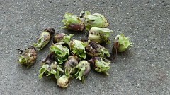 【お題日記】5教科で1番苦手だったものは何？