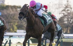 競馬の祭典・・・日本ダービー