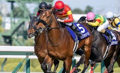 2025 6月8日」　日曜日　東京11レース　安田記念（G１）