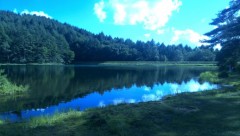 出張の合間に・・・