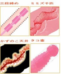 【お題日記】異性の性器の謎