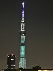 試験点灯！