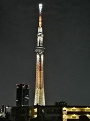 妻、セックスをしたくないと…