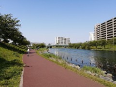 墨田区の中川にて