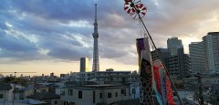 スカイツリーと、夕焼けと、鯉のぼり。