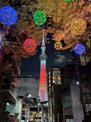 燈籠イルミネーション@牛嶋神社