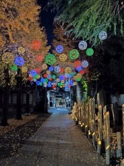 燈籠イルミネーション@牛嶋神社