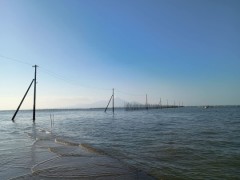 長部田海床路@熊本県