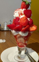 【お題日記】大人になっても欲しいもの