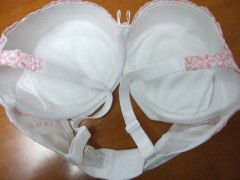 さらに続きます