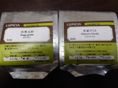 【お題日記】給料日にすること