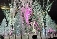 【お題日記】赤点取ったことある？