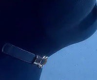 いちファンとして