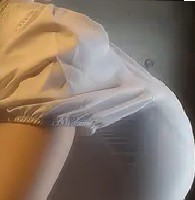 美しいなあと思ったもの