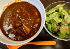 【お題日記】もし1日だけ動物になれるなら何になる？