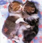 【お題日記】35歳を過ぎると結婚しにくくなると思う？