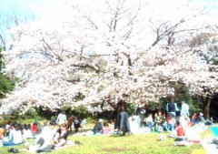 【お題日記】○○デビュー！