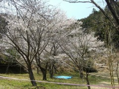 【お題日記】海外旅行での失敗談、ありますか？
