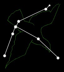 夢とロマンの七夕祭を