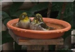 それは最高ですよ。一緒に入浴！！