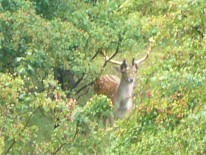 アムステルダムの水源地帯を歩いた