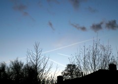 息子のパーティー