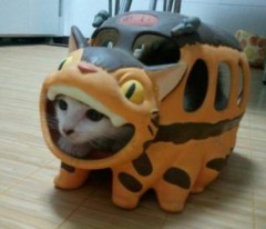 【お題日記】今とにかく欲しい物