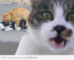 【お題日記】冬のセックスは冷える！場所はどこでする？