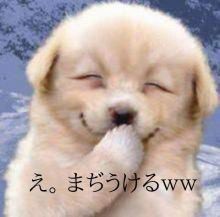 【お題日記】コンビニLOVE！