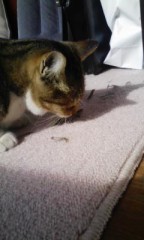 外でやってくれ