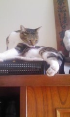 高い所が好き(^_^)