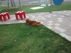 ４時間のドライブ