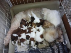 土曜日だわ(ノ△Ｔ)