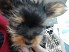 なにやら お天気悪いですね！