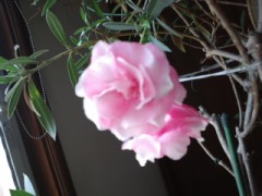 始めるのは簡単 会社