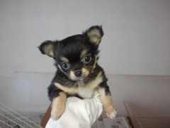 明日 台風来るのかな～