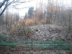 雪降りました～