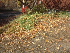 こんな夜は心細い