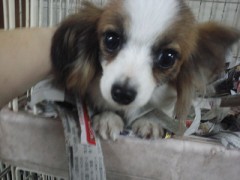 今日はぽかぽか