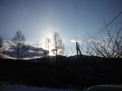 穏やかに 日々過ぎますように…