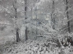 昨日とは打って変わって…