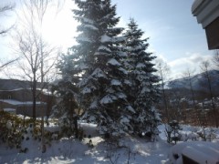 今季初めてのどか雪