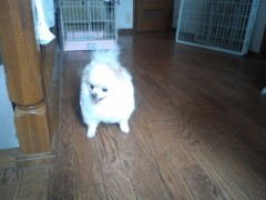 今日は札幌の隣 江別までドライブ