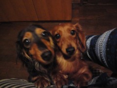 自分が生まれ 生きている訳