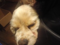 来年は選択の年だろうか？