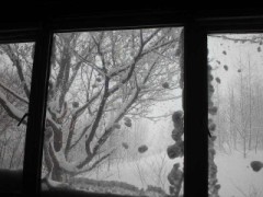 す…凄すぎる…